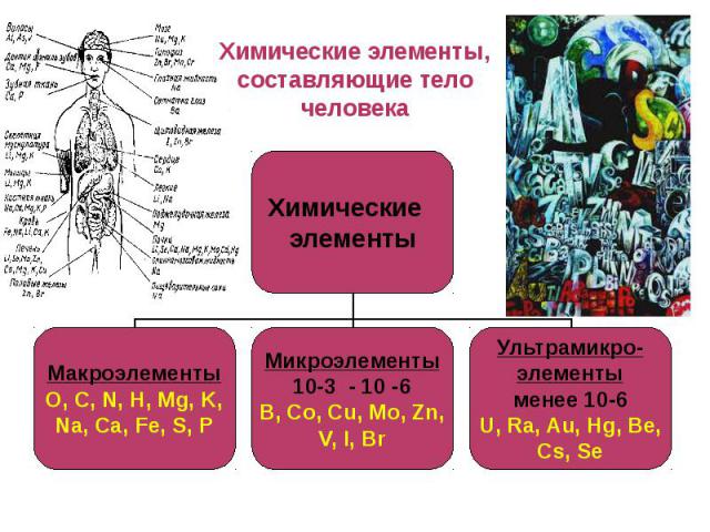 Химические элементы, составляющие тело человека