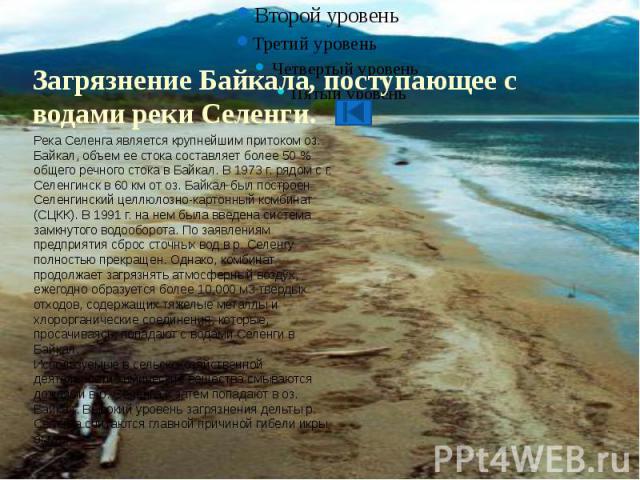 Загрязнение Байкала, поступающее с водами реки Селенги.