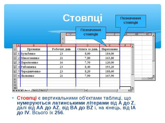 Стовпці є вертикальними об'єктами таблиці, що нумеруються латинськими літерами від А до Z, далі від АА до AZ, від ВА до BZ і, на кінець, від ІА до IV. Всього їх 256. Стовпці є вертикальними об'єктами таблиці, що нумеруються латинськими літерами від …