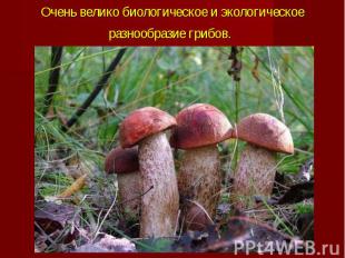 Очень велико&nbsp;биологическое&nbsp;и экологическое разнообразие грибов.