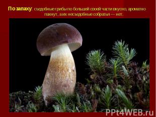 По запаху: съедобные грибы по большей своей части вкусно, ароматно пахнут, а их