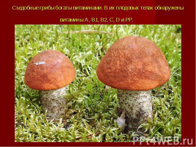 Съедобные грибы богаты витаминами. В их плодовых телах обнаружены витамины А, В1, В2, С, D и РР.