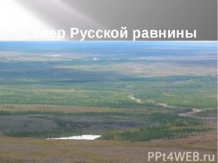 Север Русской равнины
