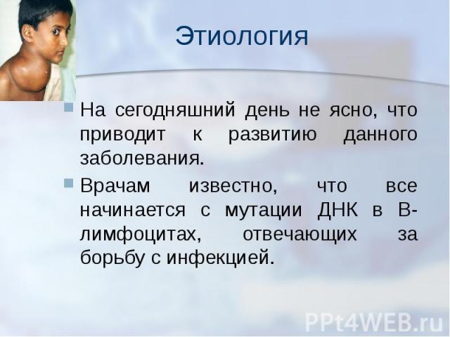 Этиология На сегодняшний день не ясно, что приводит к развитию данного заболевания. Врачам известно, что все начинается с мутации ДНК в В-лимфоцитах, отвечающих за борьбу с инфекцией.