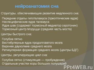 нейроанатомия снаСтруктуры, обеспечивающие развитие медленного сна:&nbsp;Передни