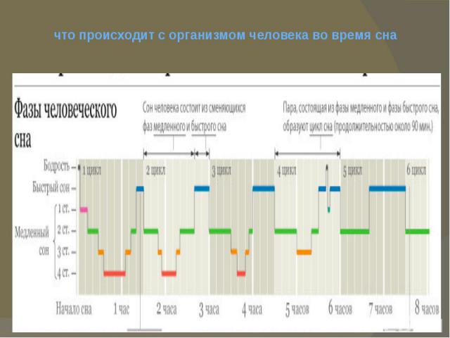 что происходит с организмом человека во время снаНормальный сон состоит из 4-6 циклов