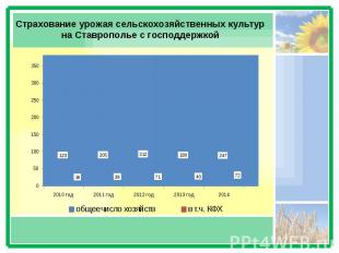 Страхование урожая сельскохозяйственных культур на Ставрополье с господдержкой