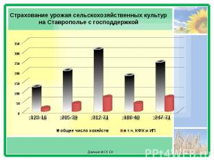Страхование урожая сельскохозяйственных культур на Ставрополье с господдержкой