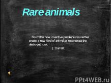 Rare animals