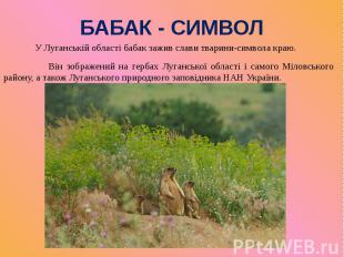 БАБАК - СИМВОЛ У Луганській області бабак зажив слави тварини-символа краю. Він
