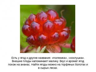Есть у ягод и другие названия: «поляника», «хохлушка». Внешне плоды напоминают м