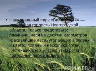 Национальный парк «Валдайский» — настоящая гордость Новгородской области. Только