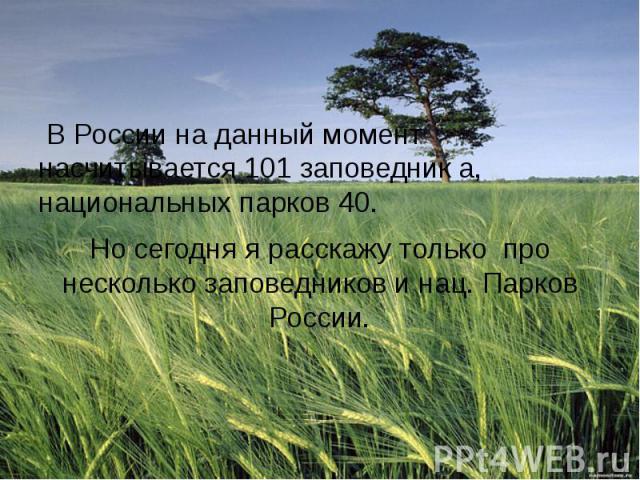 В России на данный момент насчитывается 101 заповедник а, национальных парков 40. Но сегодня я расскажу только про несколько заповедников и нац. Парков России.