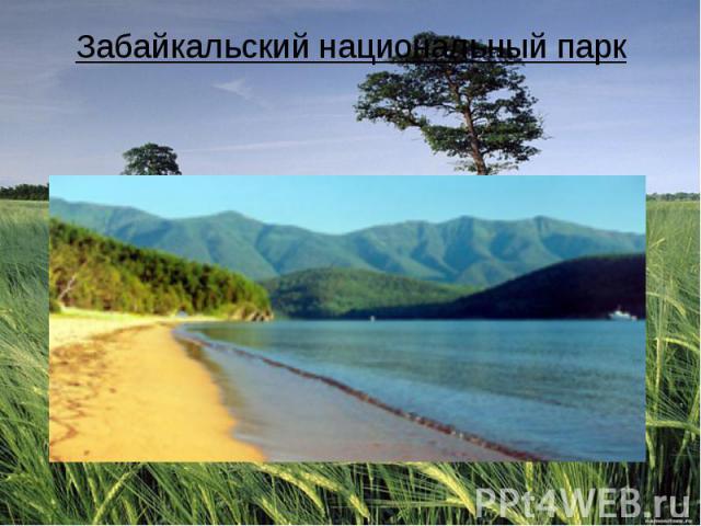 Забайкальский национальный парк