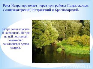 Река Истра протекает через три района Подмосковья: Солнечногорский, Истринский и