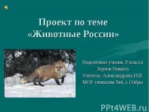 Животные России 3 класс