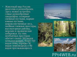 Животный мир России многолик и разнообразен. Здесь можно встретить самые разнооб