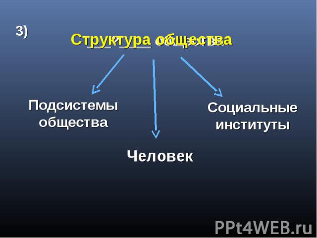 Структура общества