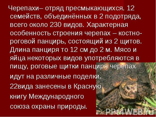 Черепахи– отряд пресмыкающихся. 12 семейств, объединённых в 2 подотряда, всего около 230 видов. Характерная особенность строения черепах – костно-роговой панцирь, состоящий из 2 щитов. Длина панциря то 12 см до 2 м. Мясо и яйца некоторых видов употр…