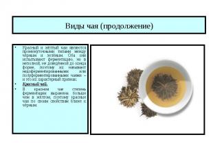 Виды чая (продолжение) Красный и жёлтый чаи являются промежуточными типами между
