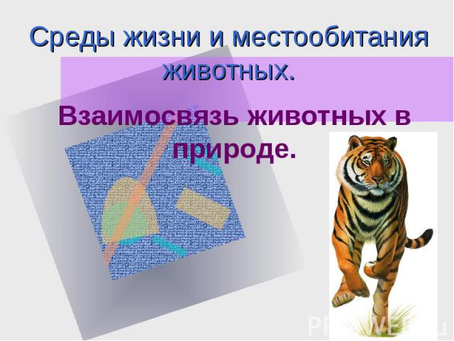 Среды жизни и местообитания животных. Взаимосвязь животных в природе.