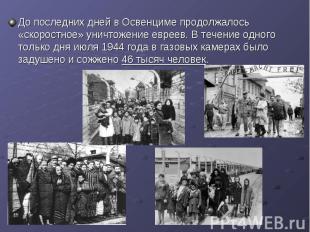 До последних дней в Освенциме продолжалось «скоростное» уничтожение евреев. В те