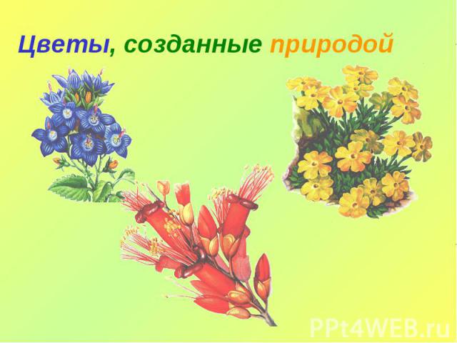 Цветы, созданные природой