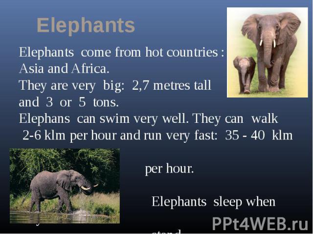 ElephantsElephants come from hot countries :Asia and Africa. They are very big: 2,7 metres tall and 3 or 5 tons.Elephans can swim very well. They can walk 2-6 klm per hour and run very fast: 35 - 40 klm per hour. Elephants sleep when they stand.