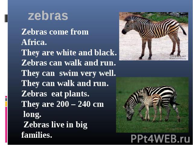 zebrasZebras come from Africa.They are white and black.Zebras can walk and run.They can swim very well.They can walk and run.Zebras eat plants.They are 200 – 240 cm long. Zebras live in big families.