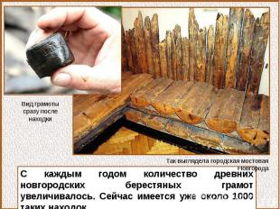 Вид грамоты сразу после находкиС каждым годом количество древних новгородских бе