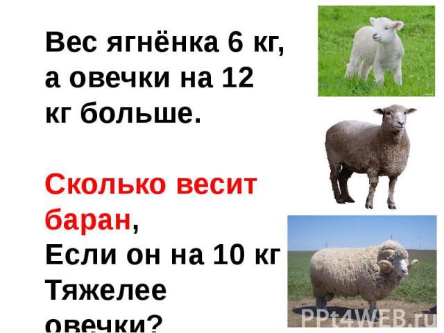 Вес ягнёнка 6 кг,а овечки на 12 кг больше.Сколько весит баран,Если он на 10 кгТяжелее овечки?