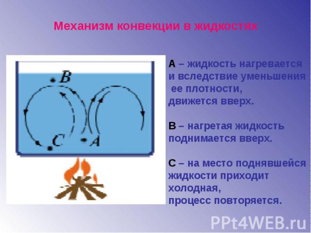 Механизм конвекции в жидкостяхА – жидкость нагревается и вследствие уменьшения ее плотности, движется вверх.В – нагретая жидкость поднимается вверх.С – на место поднявшейся жидкости приходит холодная, процесс повторяется.