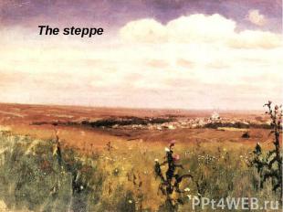 The steppe