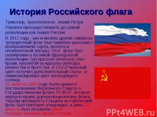 История Российского флагаТриколор, трехполосное знамя Петра Первого просуществов