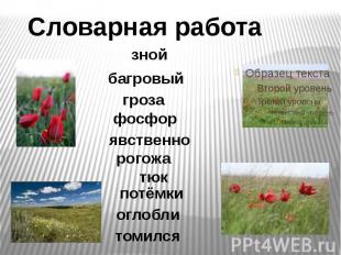 Словарная работа