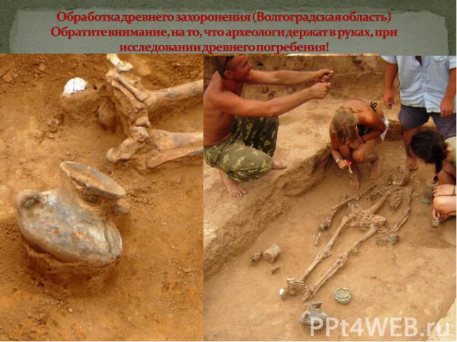 Обработка древнего захоронения (Волгоградская область)Обратите внимание, на то, что археологи держат в руках, при исследовании древнего погребения!
