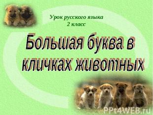Урок русского языка 2 класс Большая буква в кличках животных