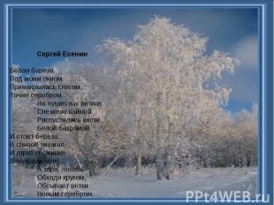 Сергей ЕсенинБелая березаПод моим окномПринакрылась снегом,Точно серебром.На пуш