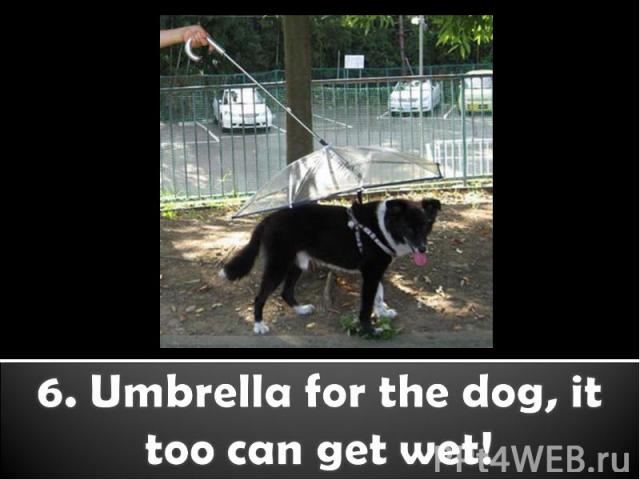 6. Umbrella for the dog, it too can get wet!