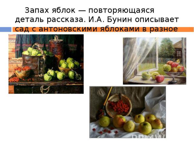 Запах яблок — повторяющаяся деталь рассказа. И.А. Бунин описывает сад с антоновскими яблоками в разное время суток. 