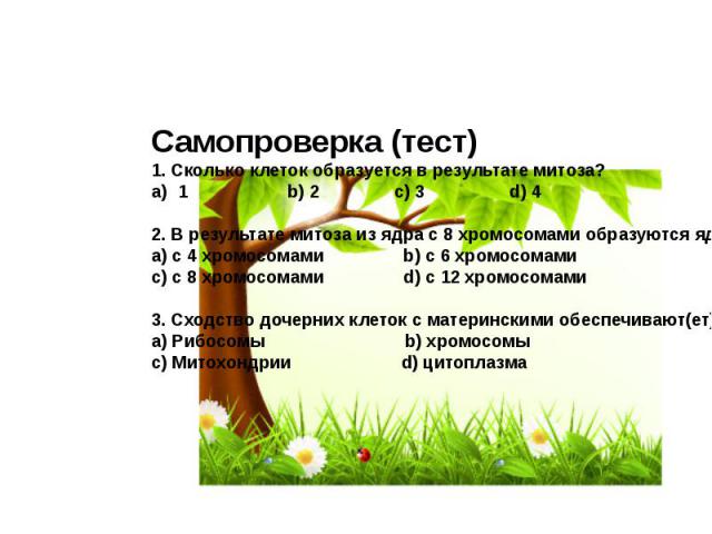 Самопроверка (тест) 1. Сколько клеток образуется в результате митоза?1 b) 2 c) 3 d) 42. В результате митоза из ядра с 8 хромосомами образуются ядра:a) с 4 хромосомами b) с 6 хромосомамиc) с 8 хромосомами d) с 12 хромосомами3. Сходство дочерних клето…