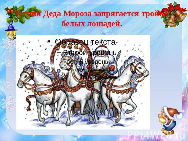 В сани Деда Мороза запрягается тройка белых лошадей.
