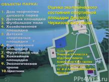 Оценка экологического состояния спортивной площадки Детского Черкизовского парка