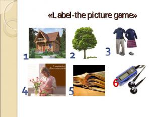 «Label-the picture game»