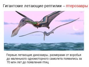 Гигантские летающие рептилии – птерозавры Первые летающие динозавры, размерами о
