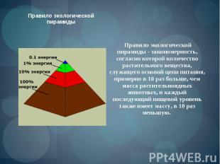 Правило экологической пирамиды - закономерность, согласно которой количество рас