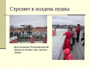 Стреляет в полдень пушка Дети на крыше Петропавловской крепости смотрят ,как стр