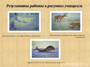 Результаты работы в рисунках учащихся.Плишкин Кирилл 5 «А» «Мои любимые животные
