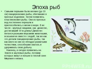 Эпоха рыбСамыми первыми были мелкие (до 10 см) панцирнокожие рыбы, обитавшие в п