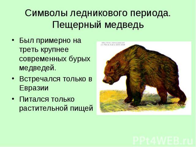 Символы ледникового периода. Пещерный медведьБыл примерно на треть крупнее современных бурых медведей.Встречался только в ЕвразииПитался только растительной пищей